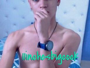11inchesbigcock