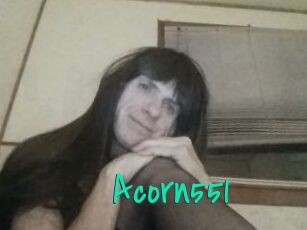 Acorn551