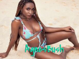 AgnesBush