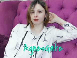 AgnesGate