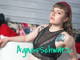 AgnesSchwarz