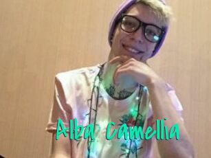 Alba_Camellia