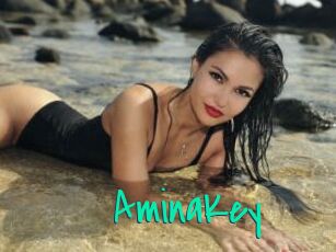 AminaKey