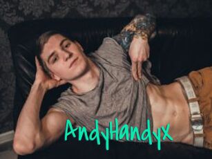 AndyHandyX