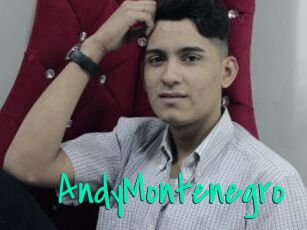 AndyMontenegro
