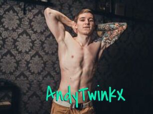 AndyTwinkX