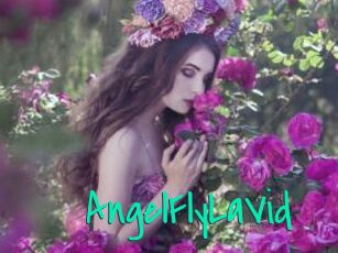AngelFlyLaVid