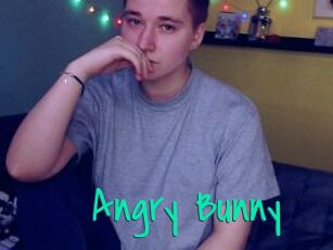 Angry_Bunny