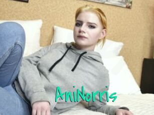 AniNorris