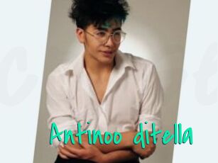 Antinoo_ditella