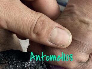 Antomel108