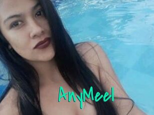 AnyMeel