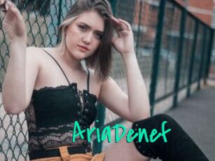 AriaDenef