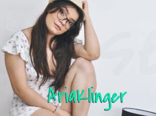 AriaKlinger