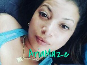 Aria_Maze