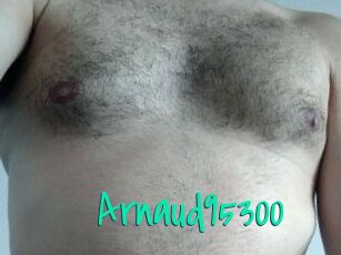 Arnaud95300