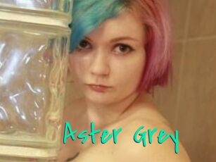 Aster_Grey
