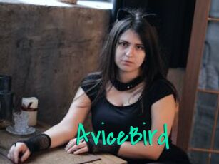 AviceBird