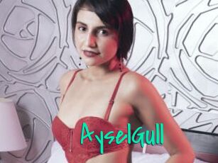 AyselGull