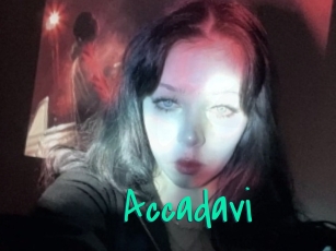Accadavi