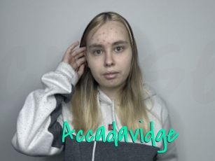 Accadavidge
