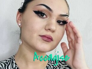 Accagise