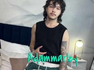 adammarley Cool Sexe
