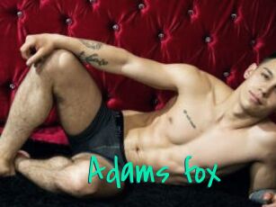 Adams_fox
