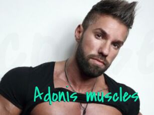 Adonis_muscles