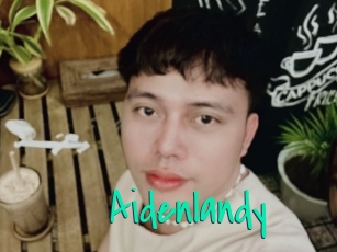 Aidenlandy
