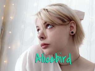 Alicebird
