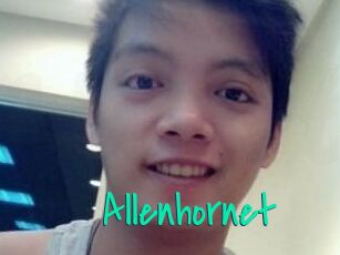 Allen_hornet