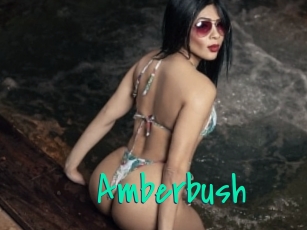 amberbush Cool Sexe