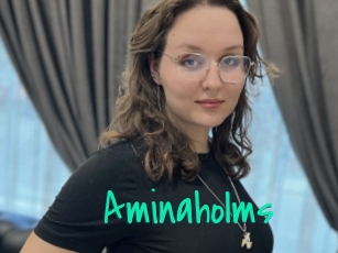 Aminaholms