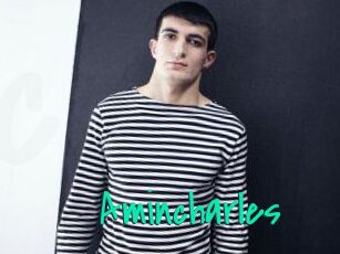 Amincharles