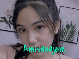 Amisanajem