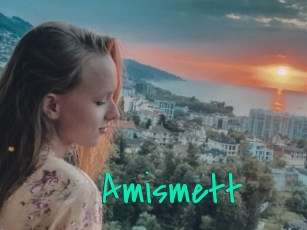 Amismett