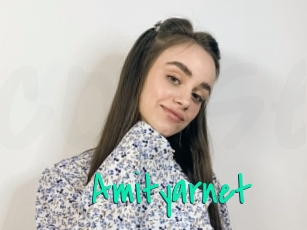 Amityarnet