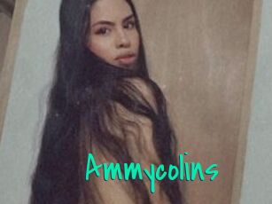 Ammycolins