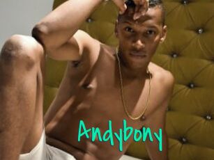 Andybony