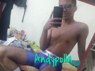 Andypolla