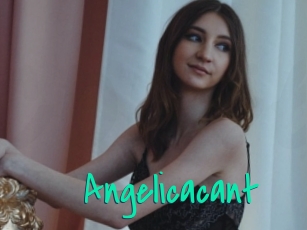 Angelicacant