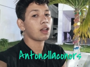 Antonellaconors