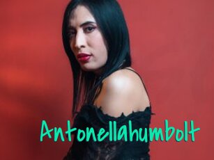 Antonellahumbolt