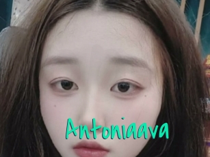 Antoniaava