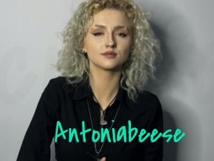 Antoniabeese