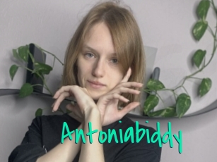 Antoniabiddy