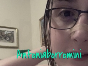 Antoniaborromini
