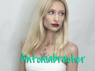 Antoniabracher