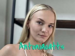 Antoniacatts